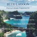 Blue Lagoon Premium Fragrance Oil - 30ml