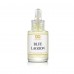 Blue Lagoon Premium Fragrance Oil - 30ml