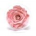 Classic Pink Rose Heads Large - 6 per box