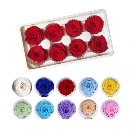 Preserved Roses - Box of 8 Heads