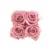 Preserved Pink Roses - Square White Suede Box