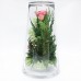 Pink Roses Floral Arrangement In A Medium Vase