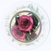 Roses, Orchid, Carnations Flowers Arrangement In Vase