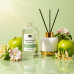 Apple Blossom Vanilla Reed Diffuser Refill Oil 3.4oz/100mL