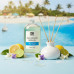 Blue Lagoon Reed Diffuser Refill Oil 3.4oz/100mL Blue Lagoon Reed Diffuser Refill Oil 3.4oz/100mL