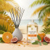 Citrus and Fig Reed Diffuser Refill Oil 3.4oz/100mL Citrus and Fig Reed Diffuser Refill Oil 3.4oz/100mL