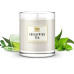 Eucalyptus Tea Stress Relief Jewelry Candle