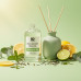 Eucalyptus Tea Reed Diffuser Refill Oil 3.4oz/100mL