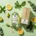 Eucalyptus Tea Reed Diffuser Refill Oil 3.4oz/100mL