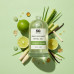 Lemongrass Reed Diffuser Refill Oil 3.4oz/100mL Lemongrass Reed Diffuser Refill Oil 3.4oz/100mL