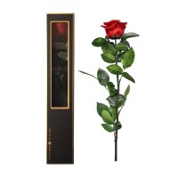 Single Preserved Rose In A Luxury Gift Box Single Preserved Rose In A Luxury Gift Box
