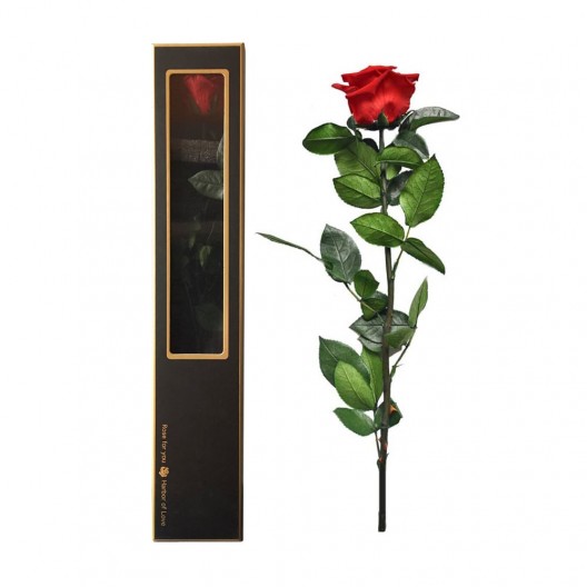 Single Preserved Rose In A Luxury Gift Box