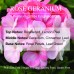 Rose Geranium Premium Fragrance Oil