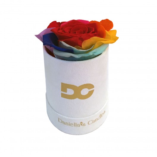Single Preserved Rose Rainbow - White Suede Box