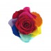 Single Preserved Rose Rainbow - White Suede Box