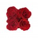 Preserved Red Roses - Square Black Suede Box