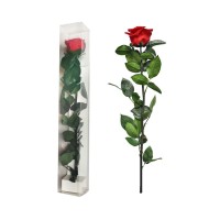 Single Ecuadorian Preserved Rose Stemmed Single Ecuadorian Preserved Rose Stemmed